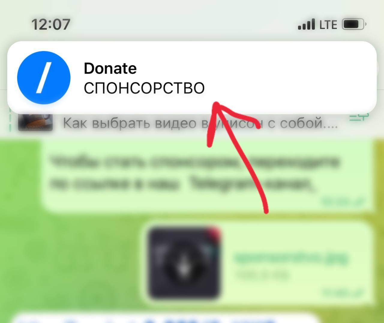 Александра Палиенко на Telegram