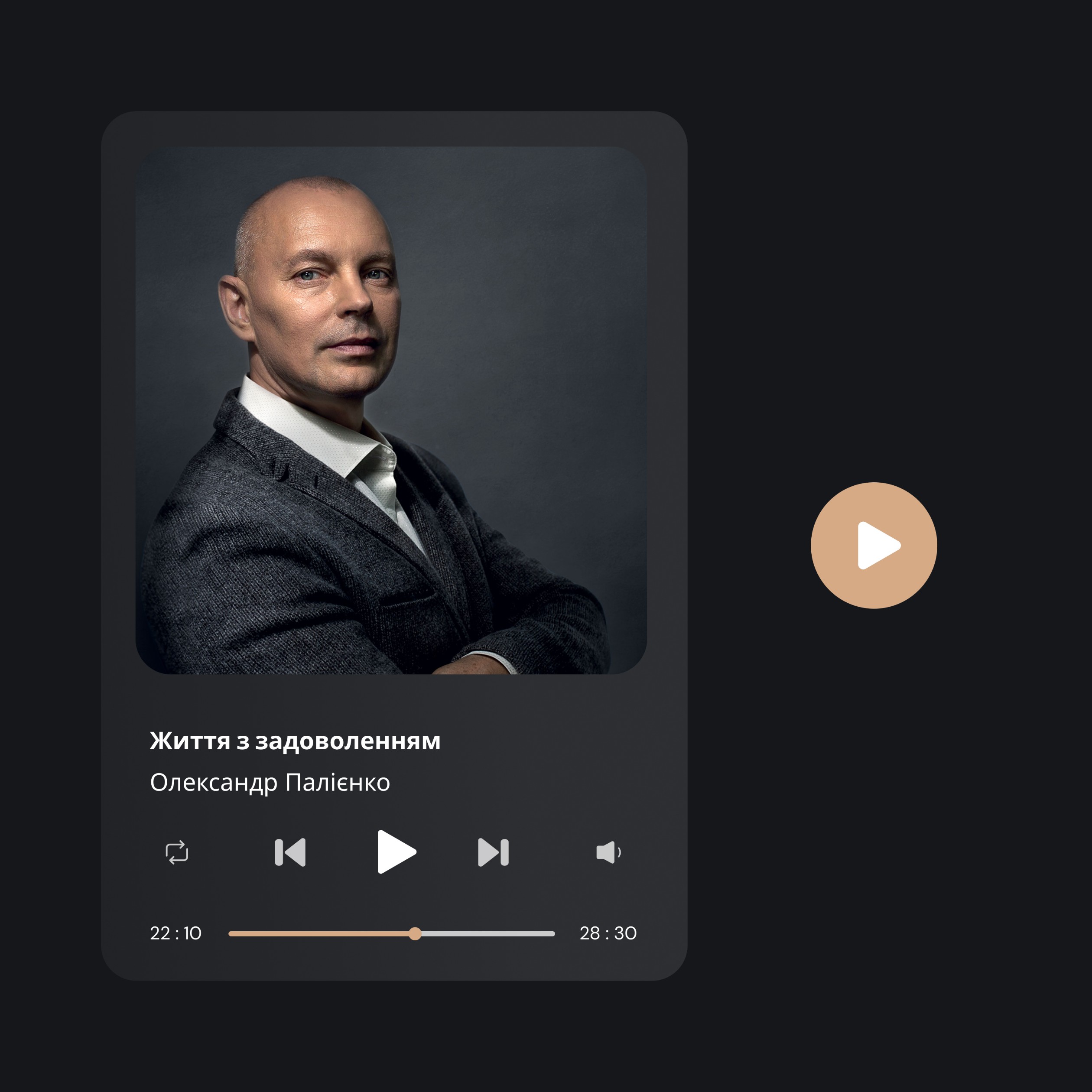 Аудиокнига Александра Палиенко «Життя з задоволенням»